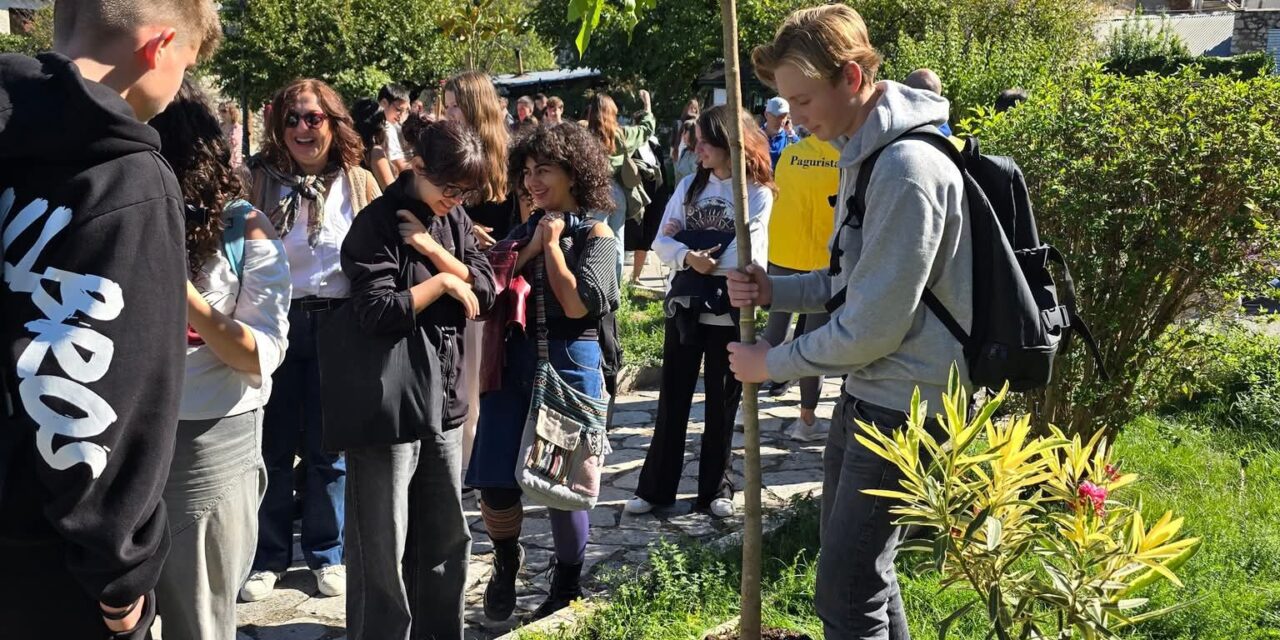 Δενδροφύτευση εθελοντών & μαθητών!