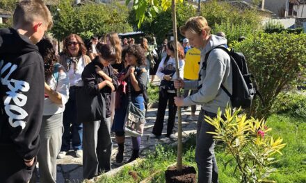 Δενδροφύτευση εθελοντών & μαθητών!
